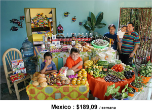 imagen09